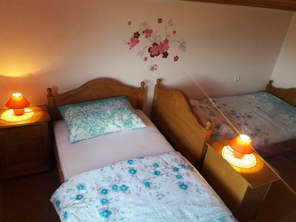 Kuca Za Odmor Anamarija Villa Ogulin Ngoại thất bức ảnh